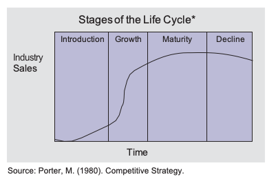 Porter - Life cycle stages - Online businesses